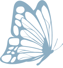 fly